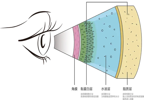 详细描述