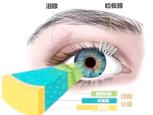 详细说明