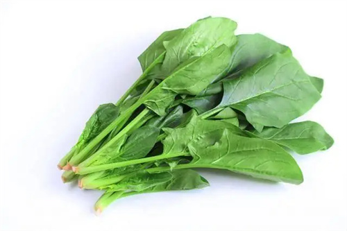 详细介绍