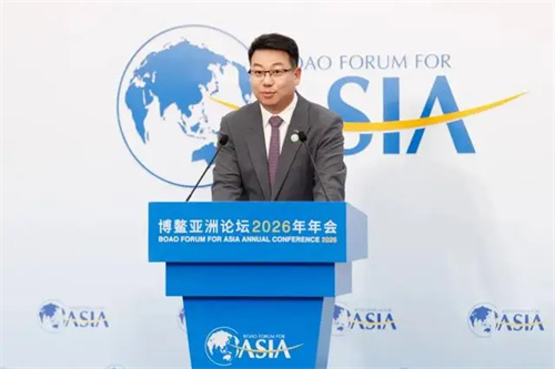 详细说明