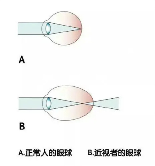 细节描述