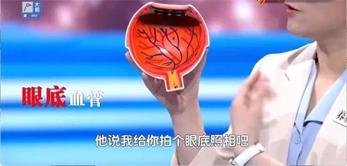 详细说明