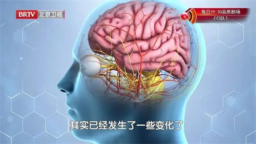 细节介绍
