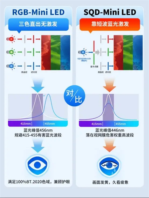 详细描述