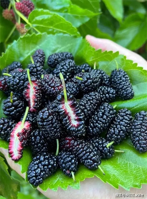 细节呈现