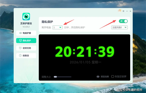 详细展示
